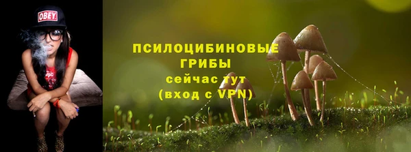 кокс Богородск
