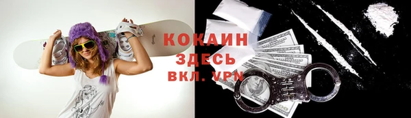 гидра Богданович