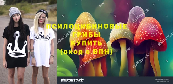 гидра Богданович