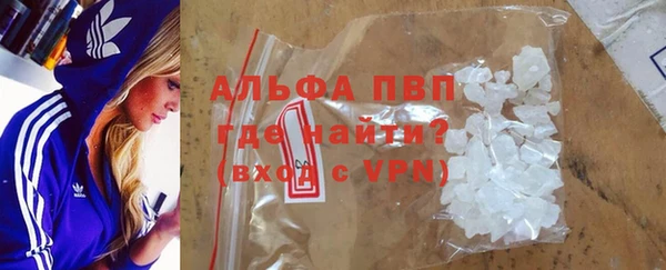 гидра Богданович