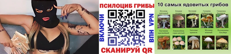 Псилоцибиновые грибы GOLDEN TEACHER  где продают наркотики  Дагестанские Огни 