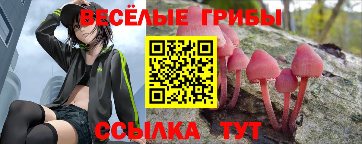Галлюциногенные грибы прущие грибы Дагестанские Огни